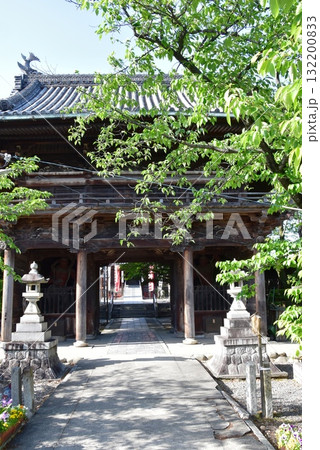 名古屋市　笠寺観音（笠覆寺）の仁王門と太鼓橋と新緑 132200833