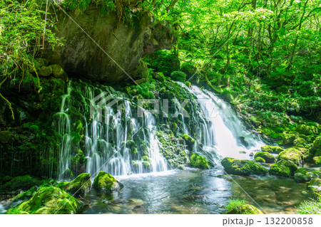 天然の湧水（イメージ） 132200858