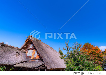 【世界遺産】紅葉真っ盛りの白川郷【岐阜県】 【世界遺産】紅葉真っ盛りの白川郷【岐阜県】 132201315