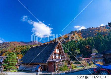 【世界遺産】紅葉真っ盛りの白川郷【岐阜県】 【世界遺産】紅葉真っ盛りの白川郷【岐阜県】 132201319
