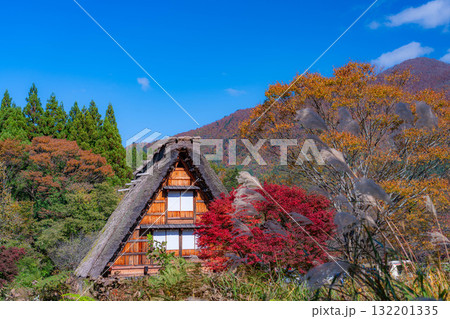 【世界遺産】紅葉真っ盛りの白川郷【岐阜県】 【世界遺産】紅葉真っ盛りの白川郷【岐阜県】 132201335