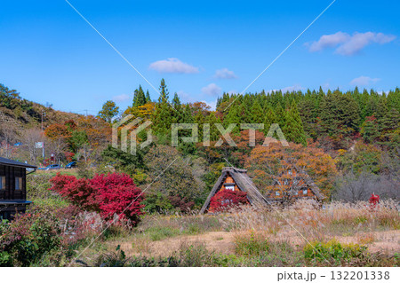 【世界遺産】紅葉真っ盛りの白川郷【岐阜県】 【世界遺産】紅葉真っ盛りの白川郷【岐阜県】 132201338