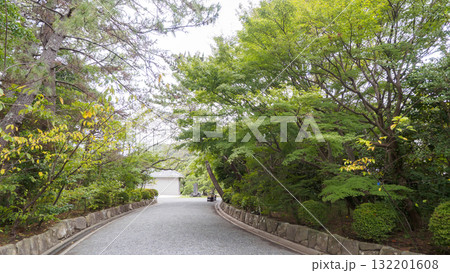 秋の葉山しおさい公園 132201608