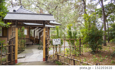 秋の葉山しおさい公園 秋の葉山しおさい公園 132201610