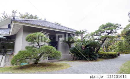 秋の葉山しおさい公園 秋の葉山しおさい公園 132201613