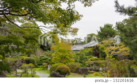 秋の葉山しおさい公園 秋の葉山しおさい公園 132201616