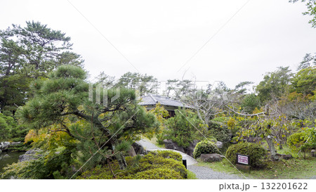 秋の葉山しおさい公園 秋の葉山しおさい公園 132201622