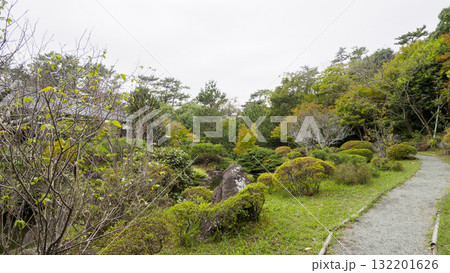 秋の葉山しおさい公園 秋の葉山しおさい公園 132201626