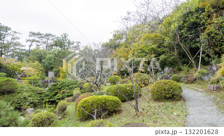 秋の葉山しおさい公園 秋の葉山しおさい公園 132201628