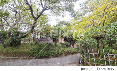 秋の葉山しおさい公園 秋の葉山しおさい公園 132201645