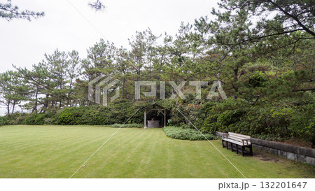 秋の葉山しおさい公園 132201647