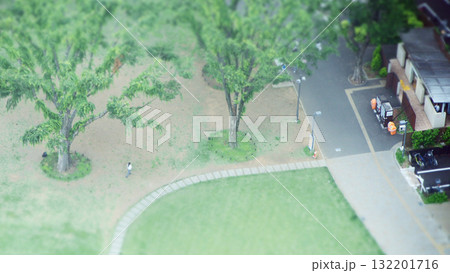 都会の公園の一角　チルトシフト 132201716