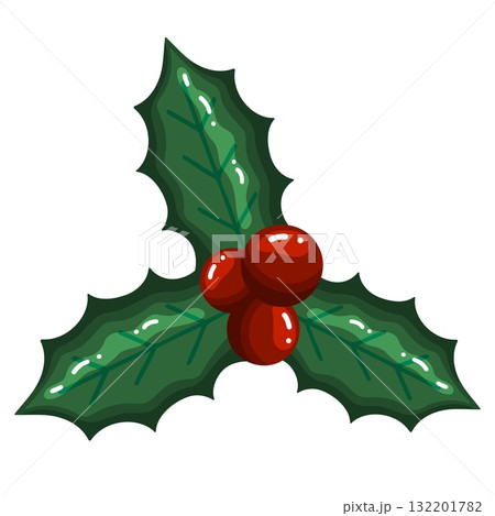 Holly Leaves and Red Berries Clipart 132201782