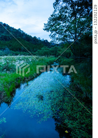 北川湿原 北川湿原 132202129
