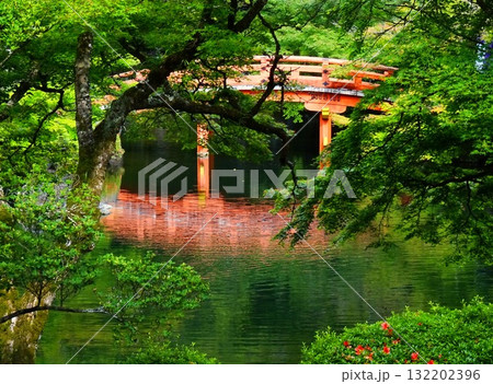 堺遺産・醍醐寺の池面に映る赤い橋 堺遺産・醍醐寺の池面に映る赤い橋 132202396
