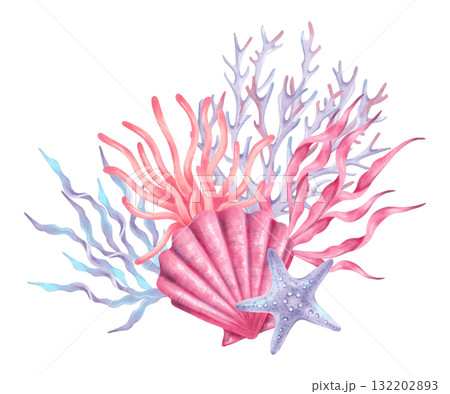 Composition of a shell, coral, starfish with seaweed. Coral reef with underwater inhabitants. Watercolor, marker illustration. Hand drawn isolated art. Perfect for nautical themes, tropical designs 132202893