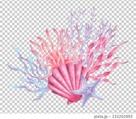 Composition of a shell, coral, starfish with seaweed. Coral reef with underwater inhabitants. Watercolor, marker illustration. Hand drawn isolated art. Perfect for nautical themes, tropical designs 132202893