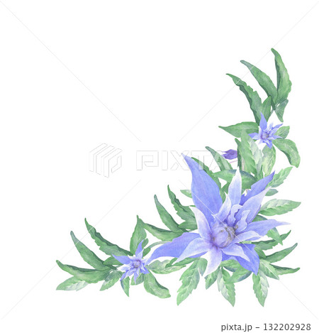 Arrangement of blue flowers clematis with green leaves on a wite background. A watercolor hand-painted. Perfect for printing on cards and invitations Arrangement of blue flowers clematis with green leaves on a wite background. A watercolor hand-painted. Perfect for printing on cards and invitations 132202928