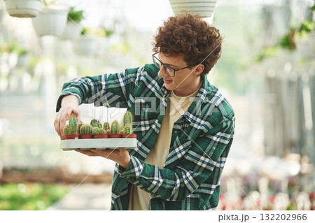 Bunch of cacti. Young man with curly hair and in glasses is in greenhouse Bunch of cacti. Young man with curly hair and in glasses is in greenhouse 132202966