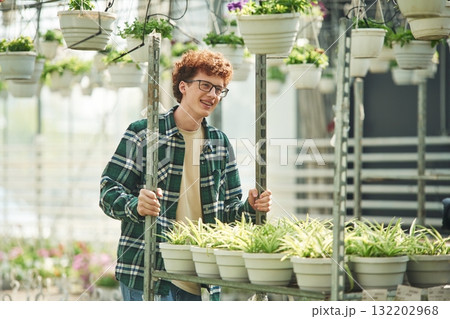 Plants in the pots. Young man with curly hair and in glasses is in greenhouse 132202968