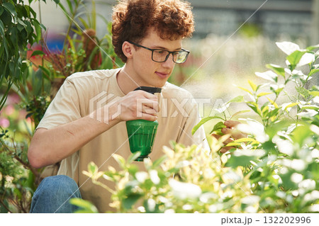 With green watering bottle. Young man with curly hair and in glasses is in greenhouse 132202996