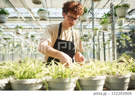 In working uniform. Young man with curly hair and in glasses is in greenhouse In working uniform. Young man with curly hair and in glasses is in greenhouse 132203009
