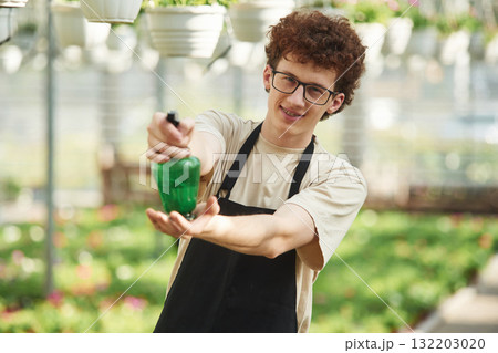 Front view, standing with watering bottle. Young man with curly hair and in glasses is in greenhouse 132203020
