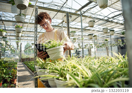 Young man with curly hair and in glasses is in greenhouse Young man with curly hair and in glasses is in greenhouse 132203119