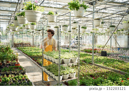 In greenhouse. Young man with curly hair and in glasses 132203121