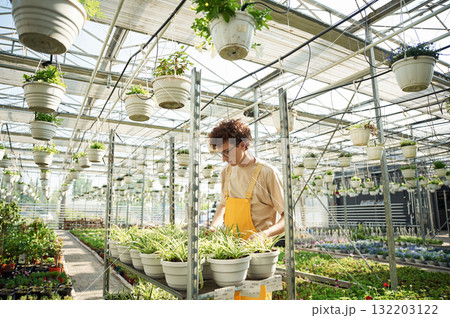 Young man with curly hair and in glasses is in greenhouse Young man with curly hair and in glasses is in greenhouse 132203122
