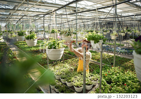 In greenhouse. Young man with curly hair and in glasses 132203123