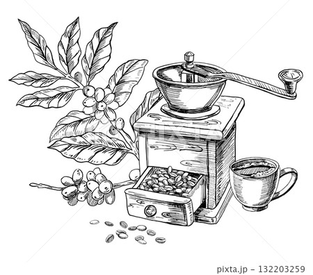 A retro coffee grinder with a coffee tree branch bearing ripe coffee cherries. Realistic vector illustration for coffee shop interiors, menu design, packaging, kitchen accessories, and textiles. A retro coffee grinder with a coffee tree branch bearing ripe coffee cherries. Realistic vector illustration for coffee shop interiors, menu design, packaging, kitchen accessories, and textiles. 132203259
