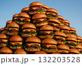 ハンバーガーの山 132203528