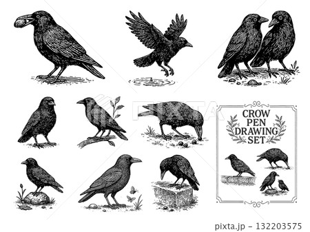 カラスのペン画セット、Crow Pen Drawing Set カラスのペン画セット、Crow Pen Drawing Set 132203575