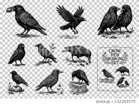 カラスのペン画セット、Crow Pen Drawing Set カラスのペン画セット、Crow Pen Drawing Set 132203575