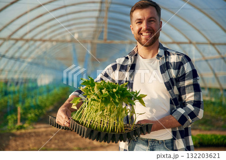 Many of the plants in hands. Man is working in the greenhouse Many of the plants in hands. Man is working in the greenhouse 132203621