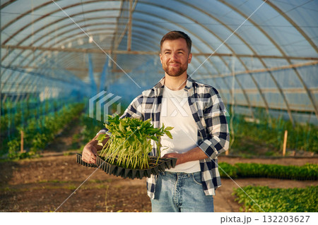 Many of the plants in hands. Man is working in the greenhouse 132203627