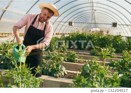 Watering can in hands. Man in greenhouse is working with plants 132204017