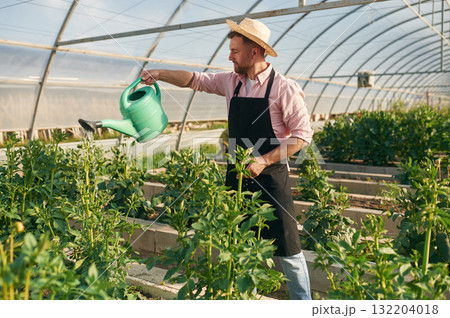 Watering can in hands. Man in greenhouse is working with plants 132204018