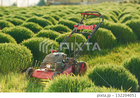 Lawn mower on the green field 132204051