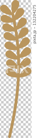 wheat of autumn element, flat vector illustration cartoon design 132204275