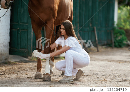 Rewinds the wounded leg. Female vet is with horse outdoors at the farm at daytime Rewinds the wounded leg. Female vet is with horse outdoors at the farm at daytime 132204719