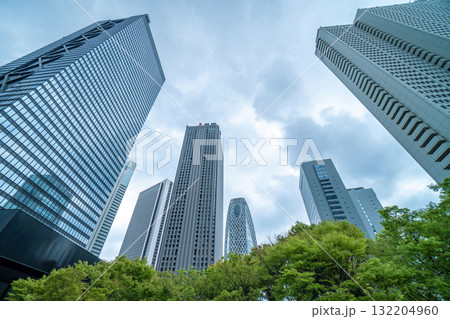 High-rise buildings and cloud sky - Shinjuku, Tokyo, Japan 132204960