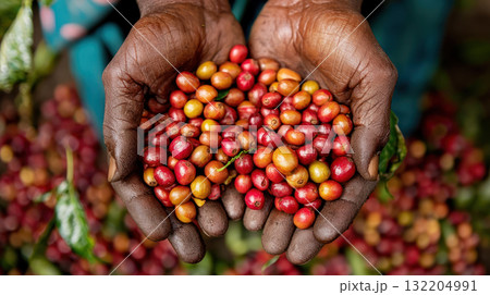 Hands holding freshly harvested coffee beans, showcasing ethical sourcing and positive impact on communities Hands holding freshly harvested coffee beans, showcasing ethical sourcing and positive impact on communities 132204991