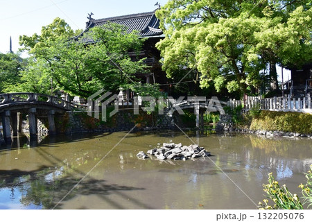名古屋市　笠寺観音（笠覆寺）の仁王門と新緑と太鼓橋と放生池　 132205076