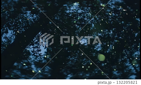 ホタルが飛び交う夜の森の風景 132205821