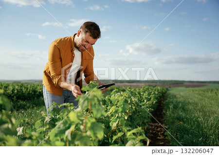 Digital tablet in hands. Handsome man is on the agricultural field at daytime Digital tablet in hands. Handsome man is on the agricultural field at daytime 132206047