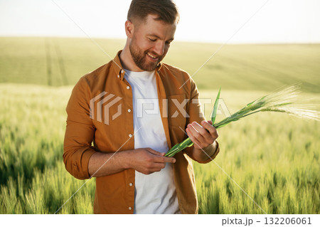 Green wheat in hands, standing. Handsome man is on the agricultural field at daytime Green wheat in hands, standing. Handsome man is on the agricultural field at daytime 132206061