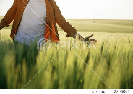 Touching the wheat that is growing. Close up view of man that is on the agricultural field at daytime 132206066