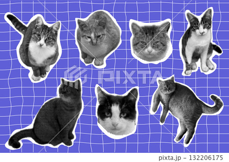 Cat halftone collage sticker set, trendy retro y2k pet, funky emoticon animal, pop aesthetic pink background. Meme head with speech bubble. Funny kitty. Cat halftone collage sticker set, trendy retro y2k pet, funky emoticon animal, pop aesthetic pink background. Meme head with speech bubble. Funny kitty. 132206175